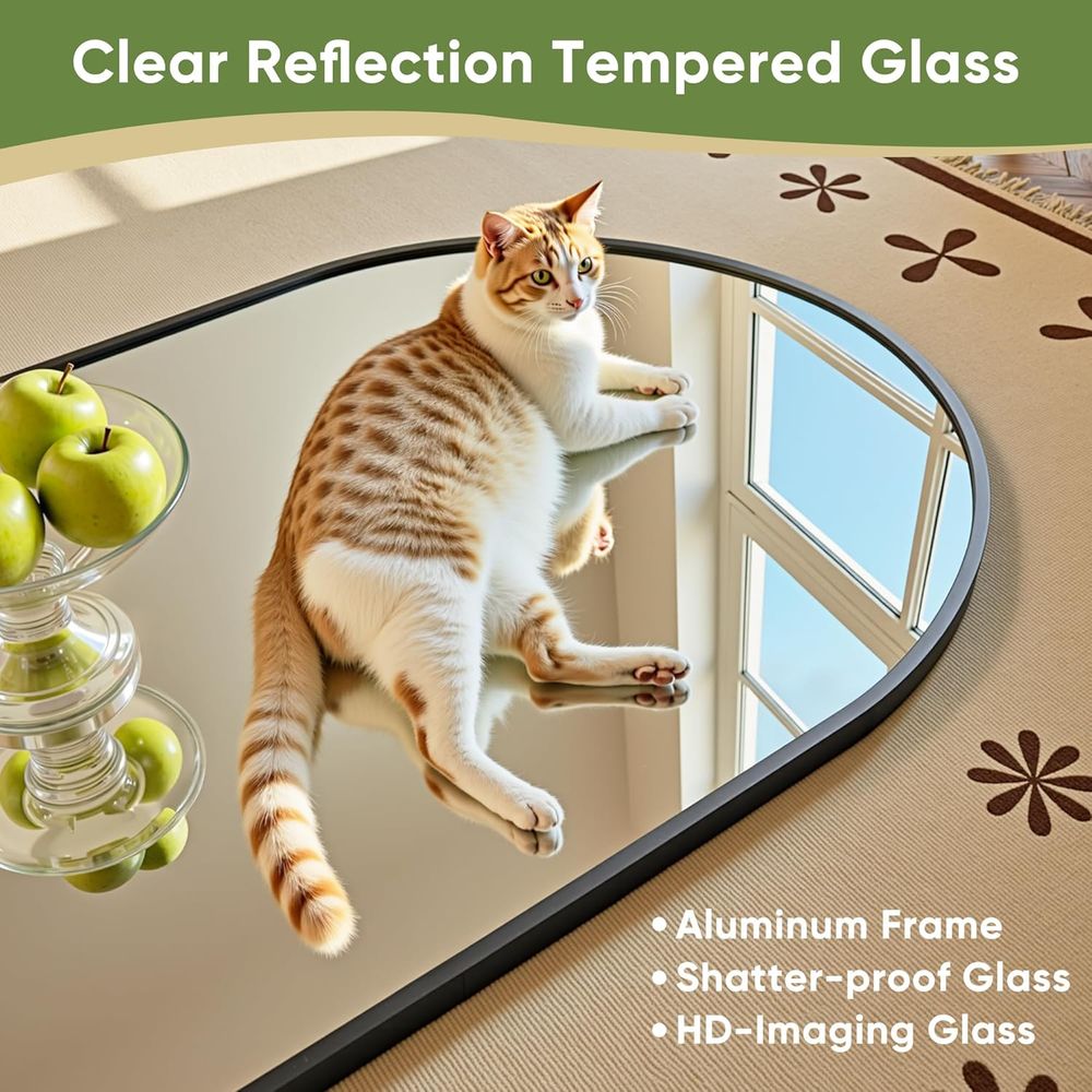 76x34 Oversized Full Length Mi - Arch Mirror Leaning のレビューと価格