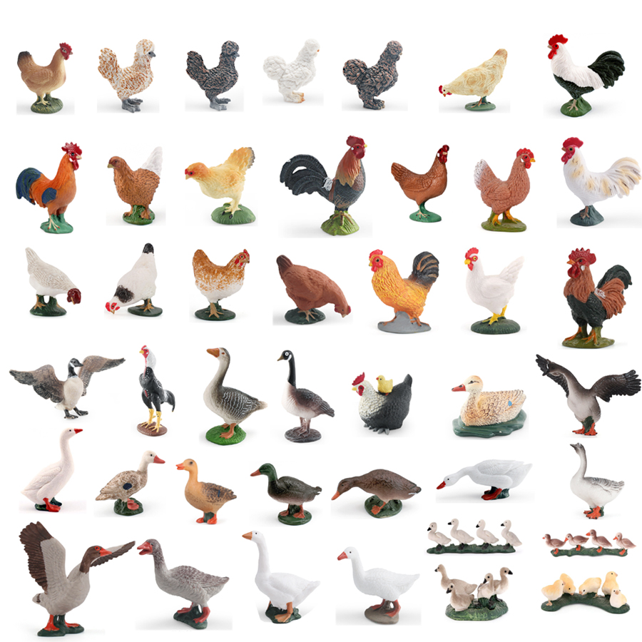 Simulation Farm Poultry Animal - Interior Design House のレビューと価格