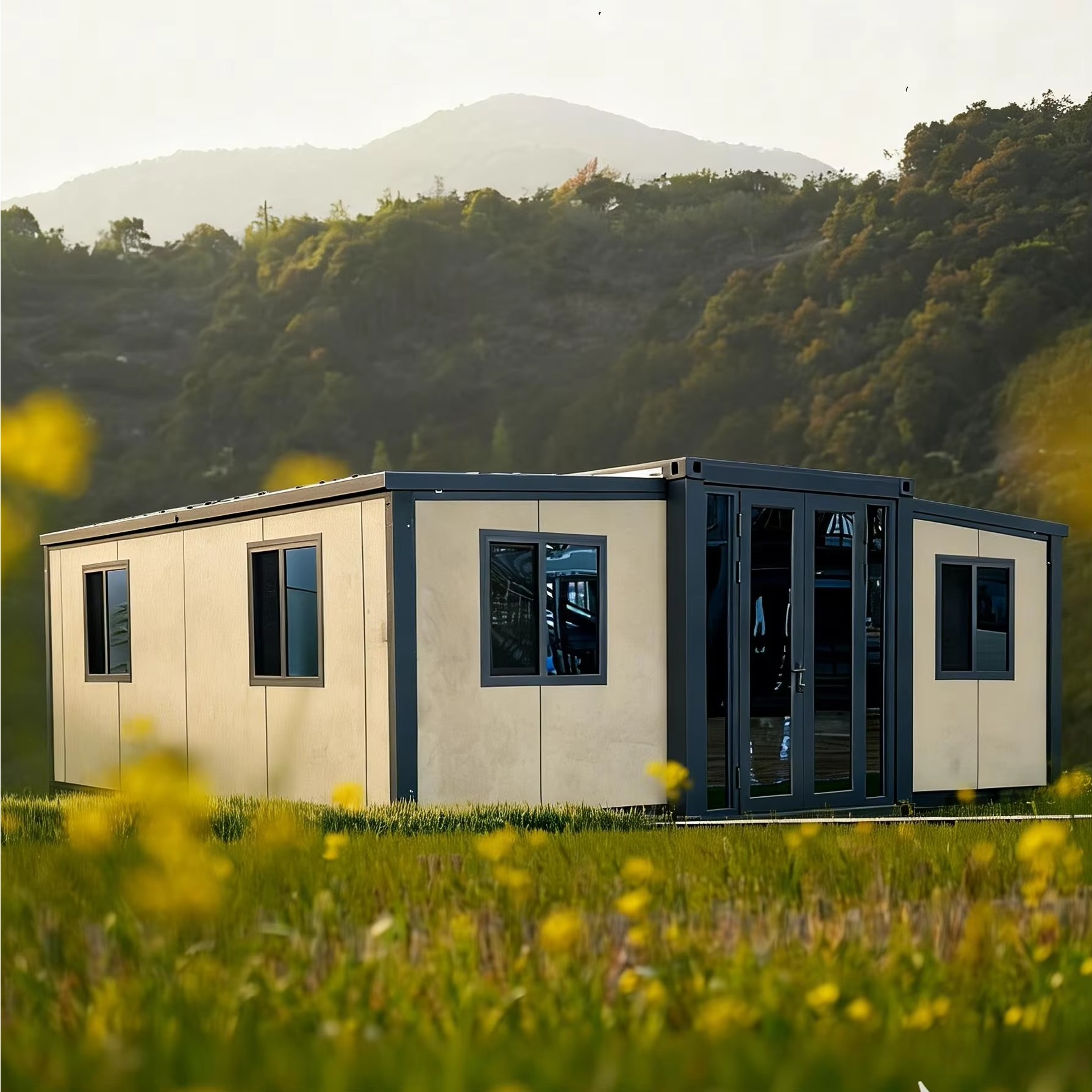 20FT 40FT Double Wing Expandab - Interior Design Luxury House のレビューと価格